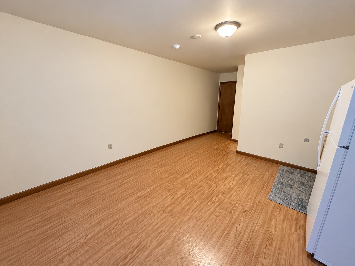 Blue Ridge room example 2 — Main room toward entry