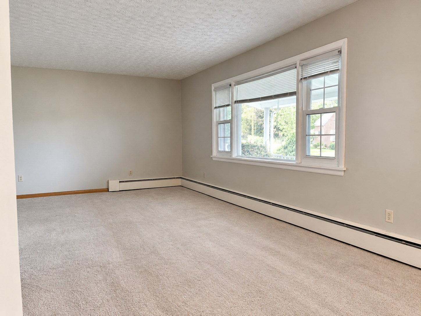 317 Chestnut Street — Living room and front windows
