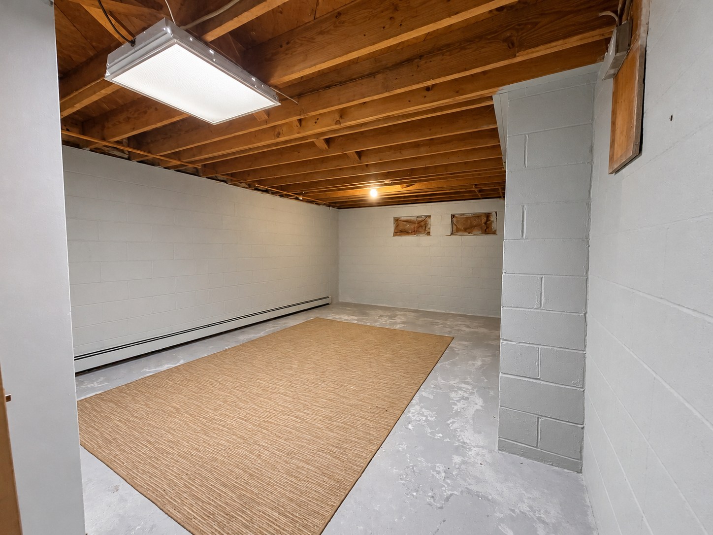 317 Chestnut Street — Basement storage area